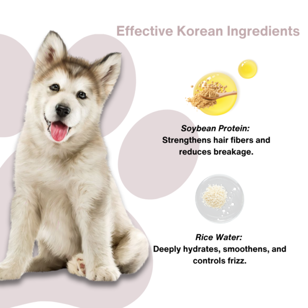 Soybean Protein & Rice Water Conditioner - Image 4