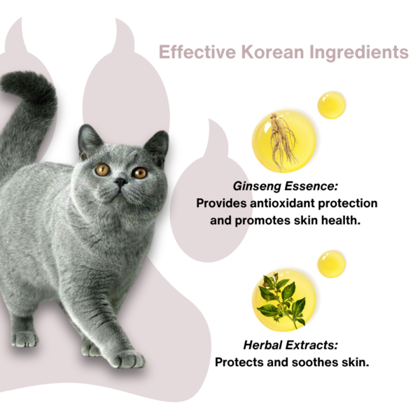 Ginseng Essence Dry Shampoo - Image 3