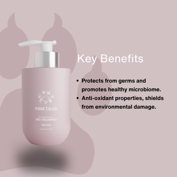 Ginseng Essence Dry Shampoo - Image 4